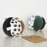 Taggy Ball with Rattle