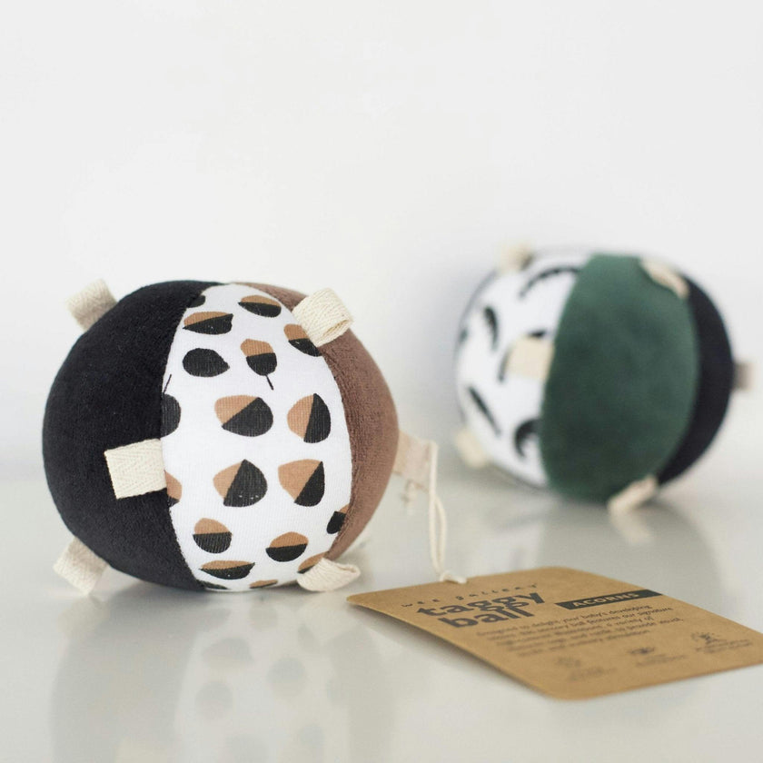 Taggy Ball with Rattle