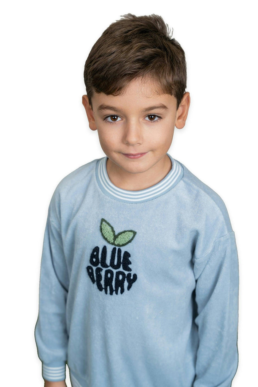 Blue Berry Terry Top