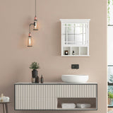 Neal Wooden Medicine Cabinet with Mirrored Door