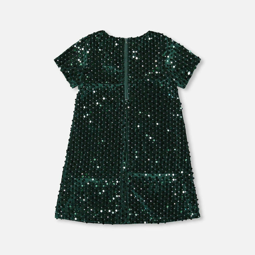 Velvet Short Sleeve Dress