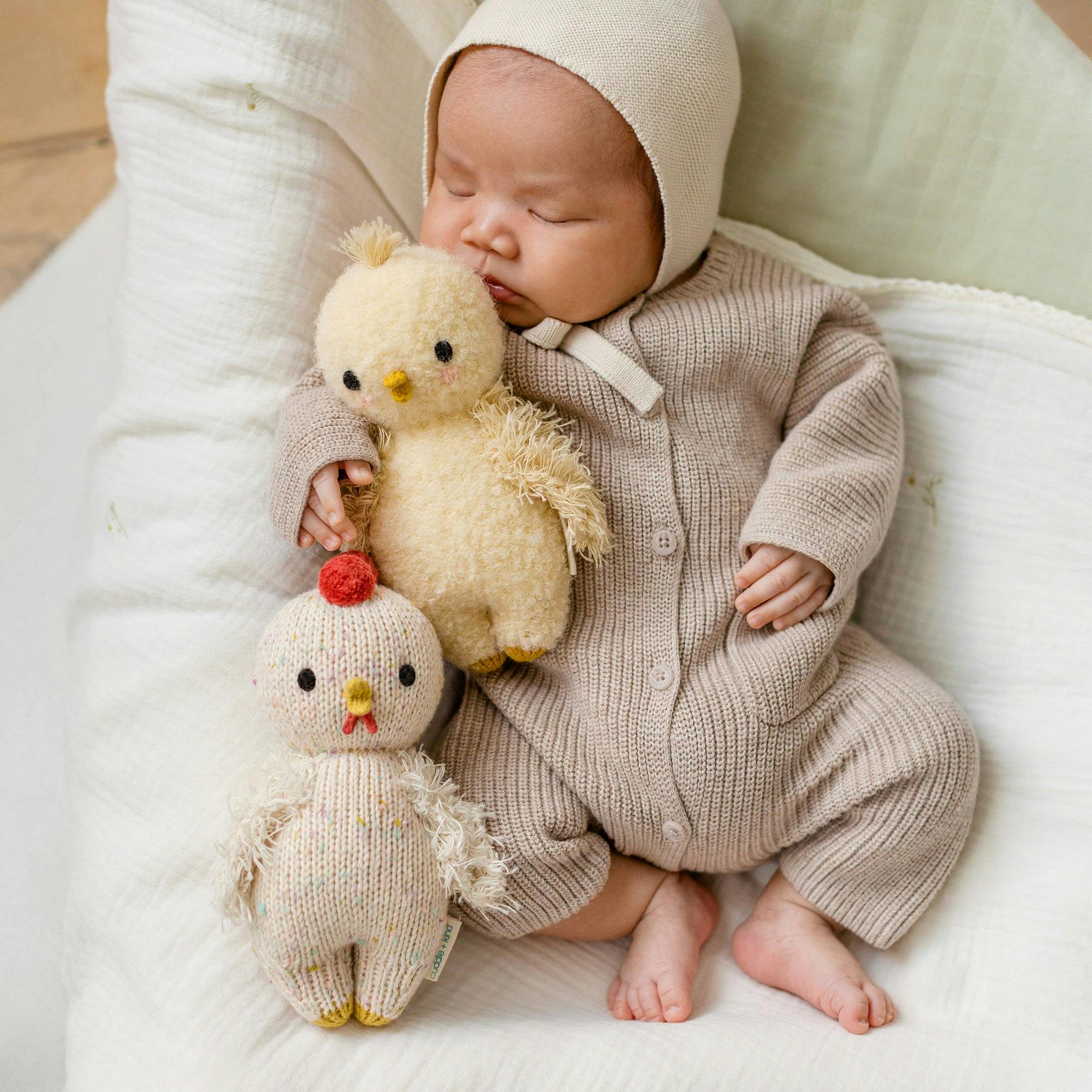 Baby chicken