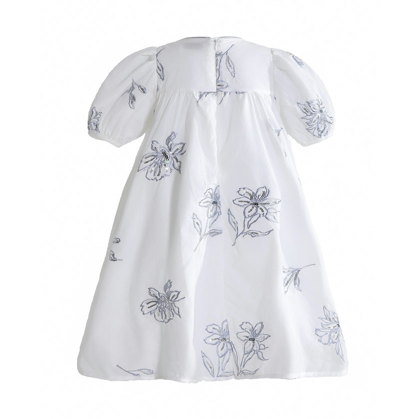 Whisper Embroidered Puff-Sleeve Dress