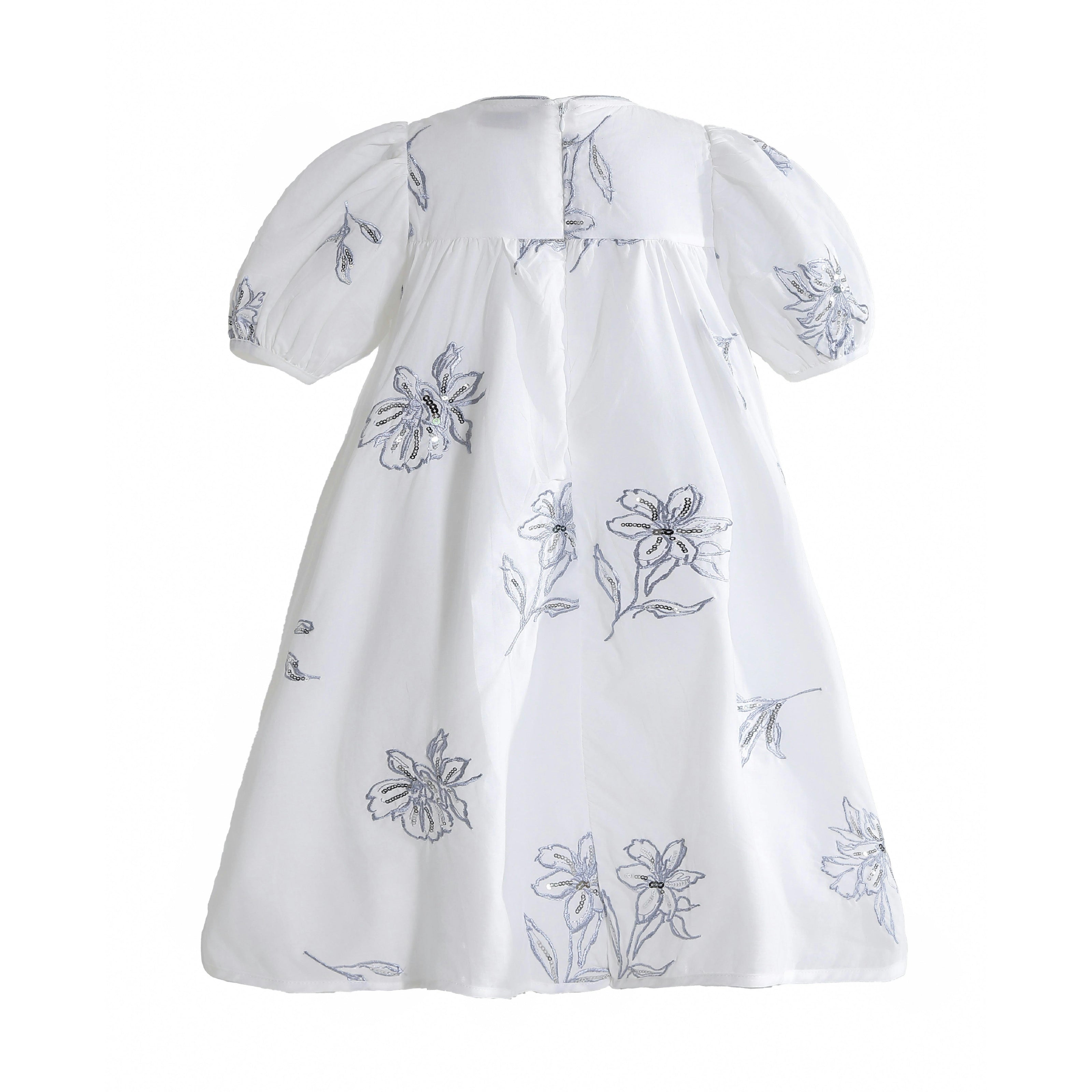 Whisper Embroidered Puff-Sleeve Dress