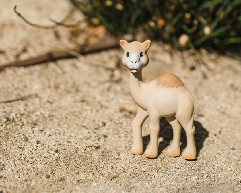Al'Thir the Camel Teether