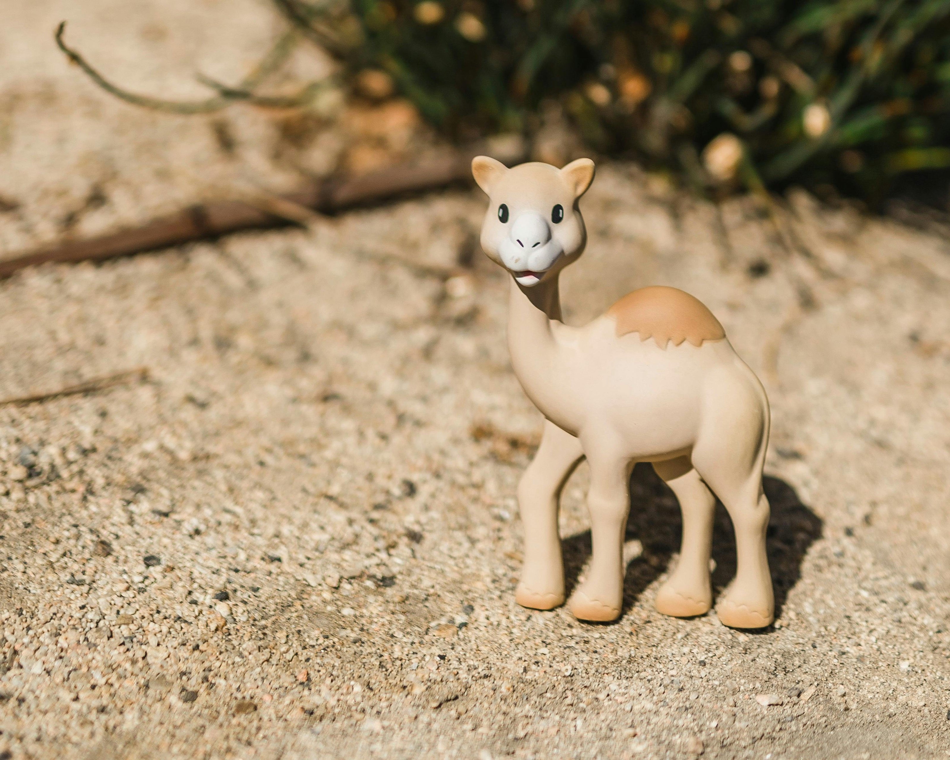 Al'Thir the Camel Teether