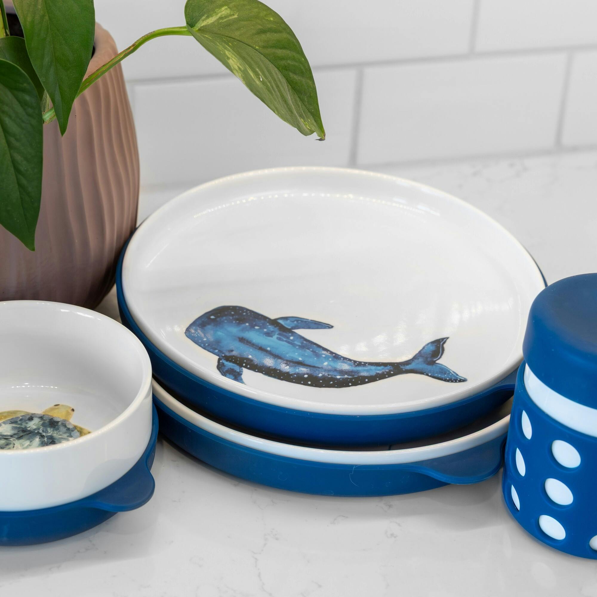 Dinnerware Set