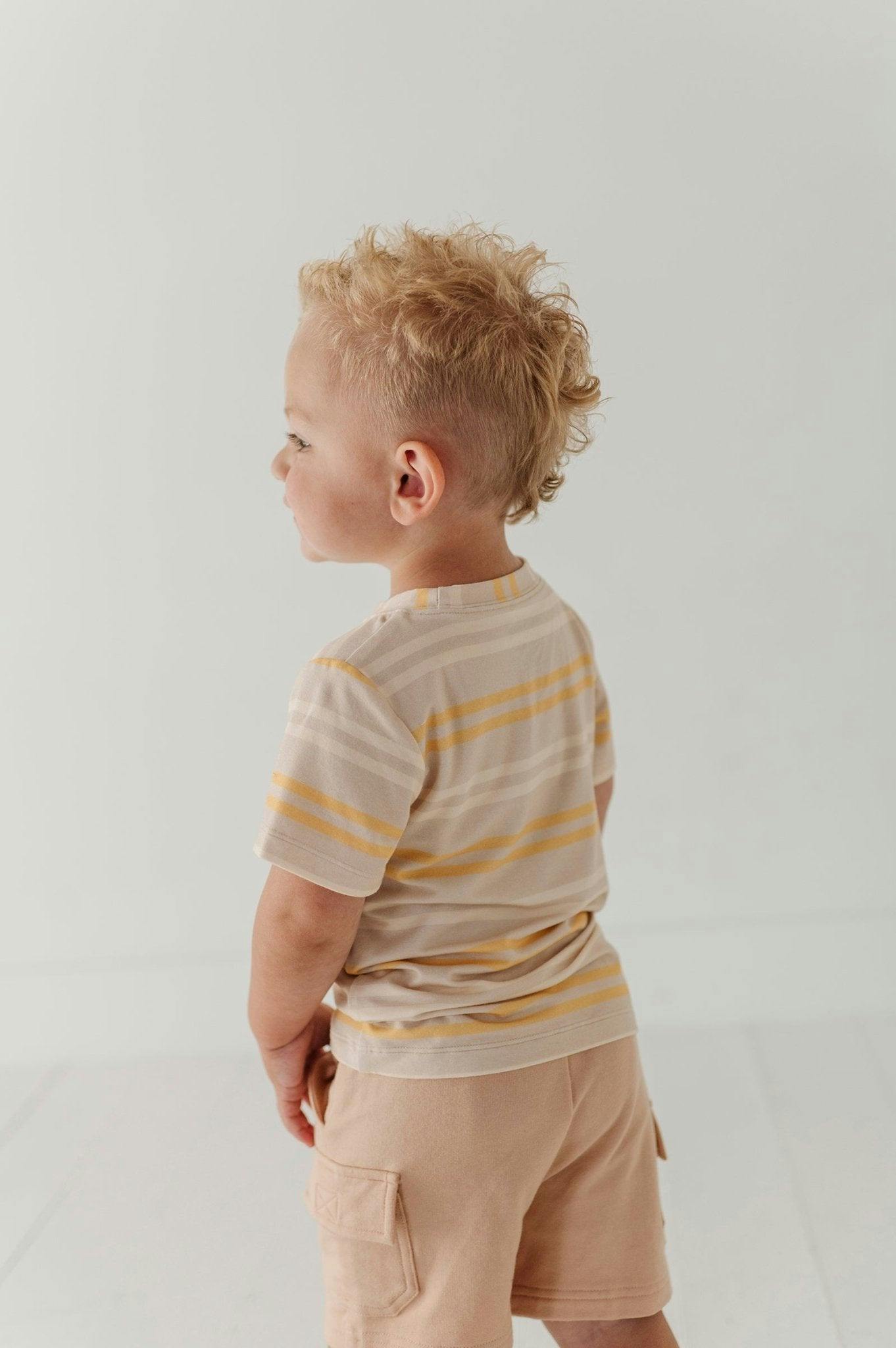 Boy's Short Sleeve Tee in Multi Stripe