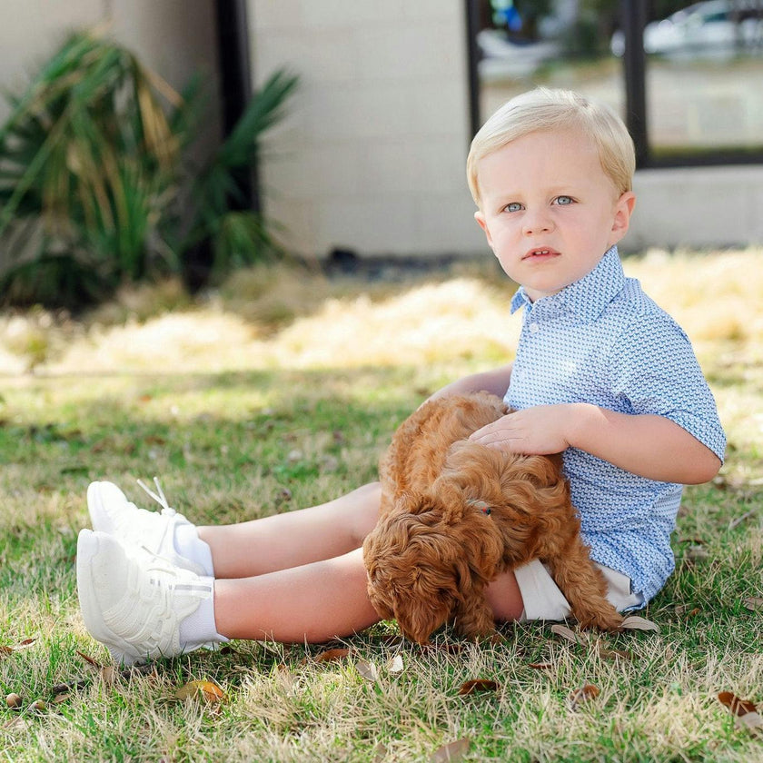 Will Boys' Performance Polo by LH Sport - Fetch Classic Blue