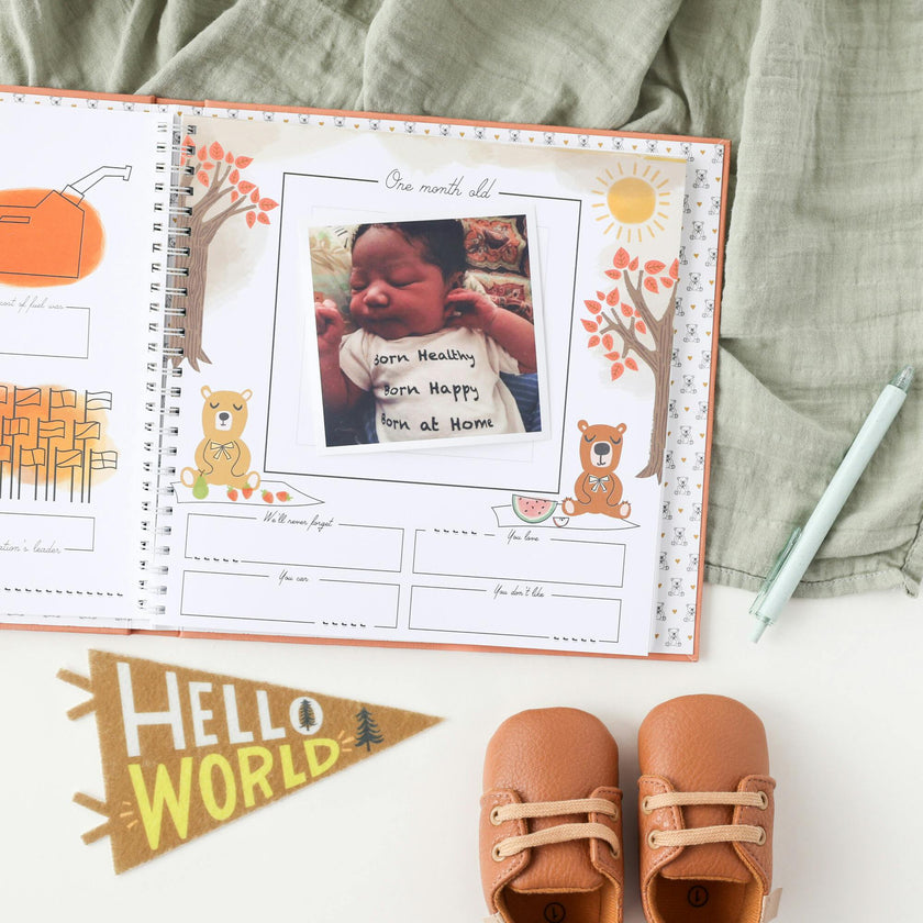 Teddy Bears' Picnic Luxury Memory Baby Book