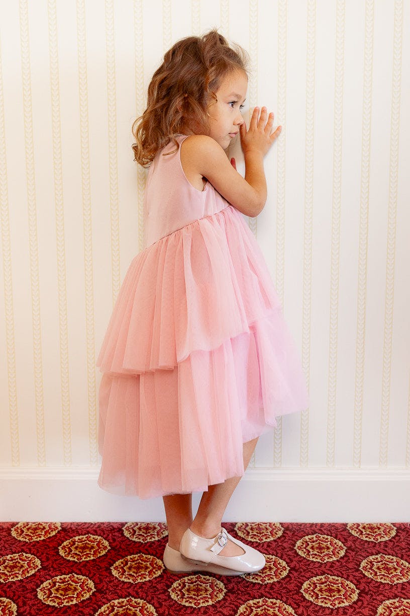 Mini Rainie Dress in Rose