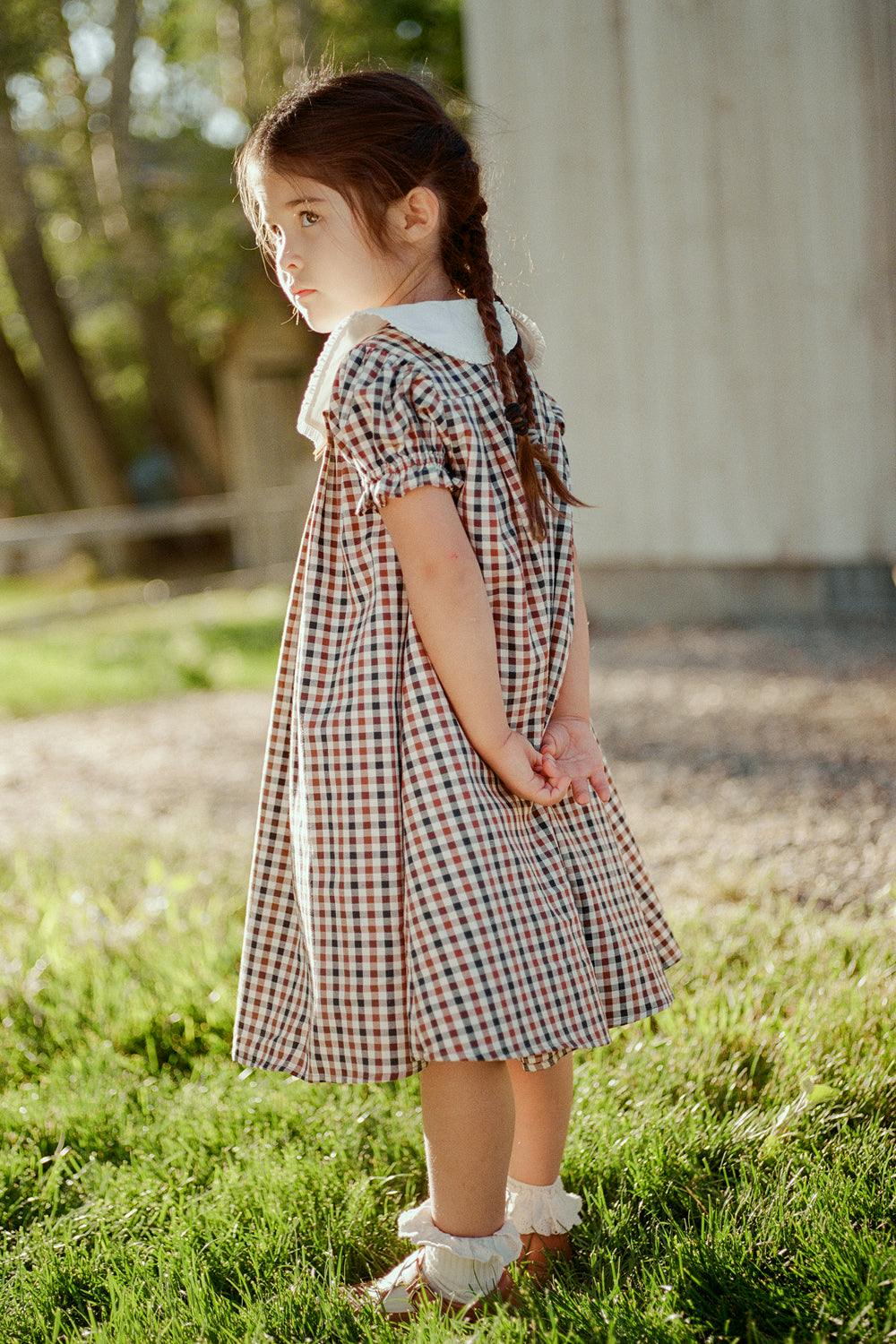 Mini Emery Dress in Chestnut Gingham