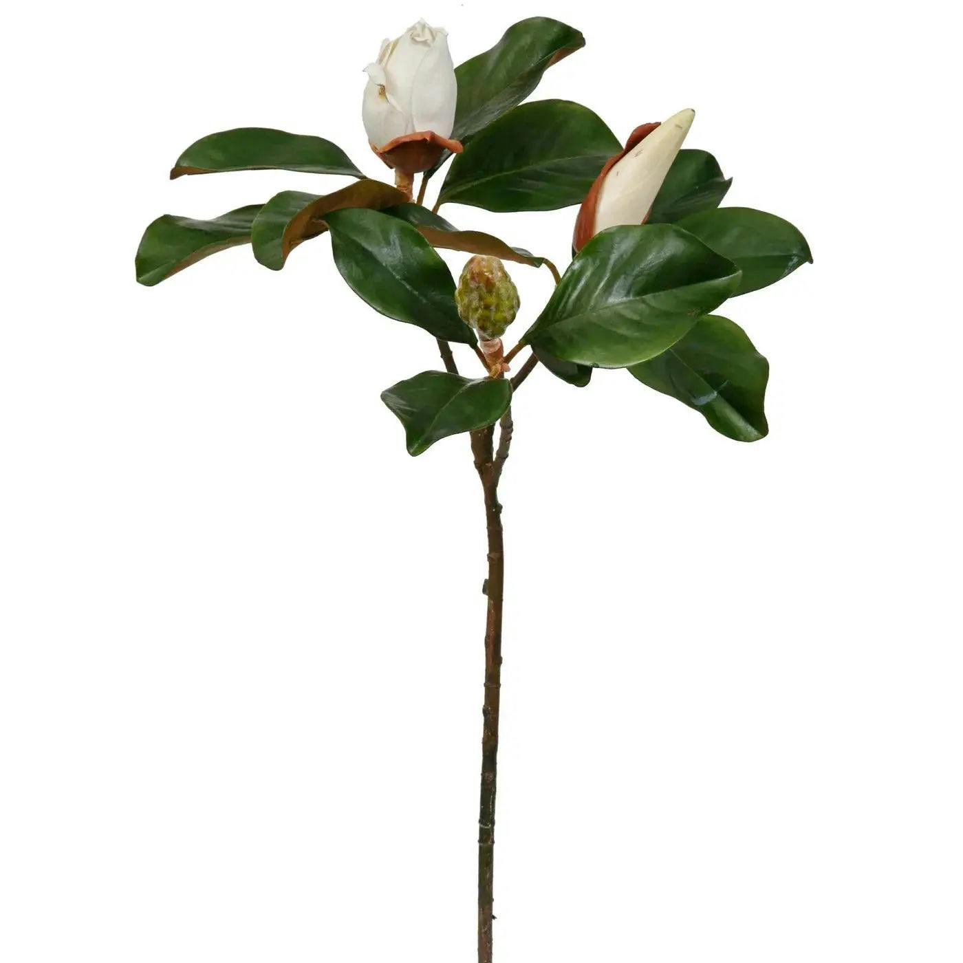 Real Touch Large Magnolia Bud Large Branch Stem 31