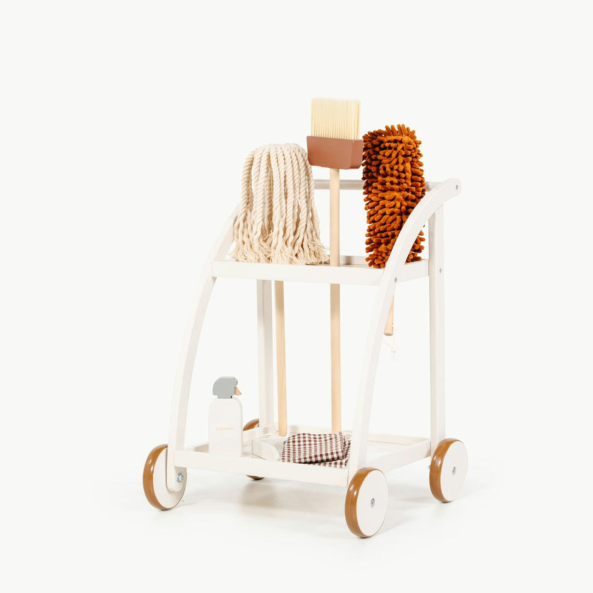 Cleaning Cart