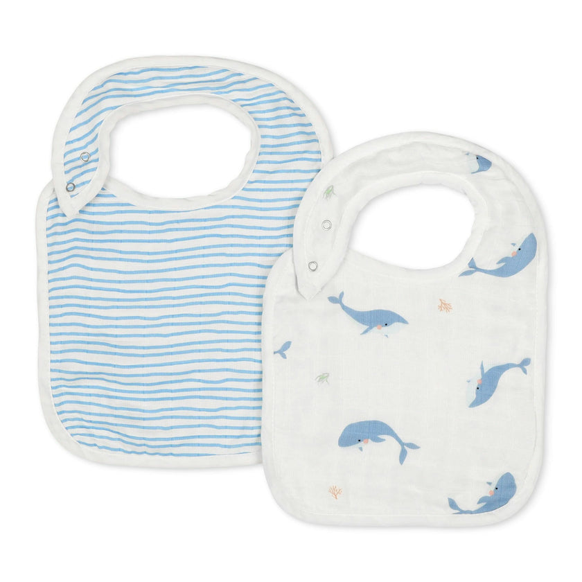 Bib Set