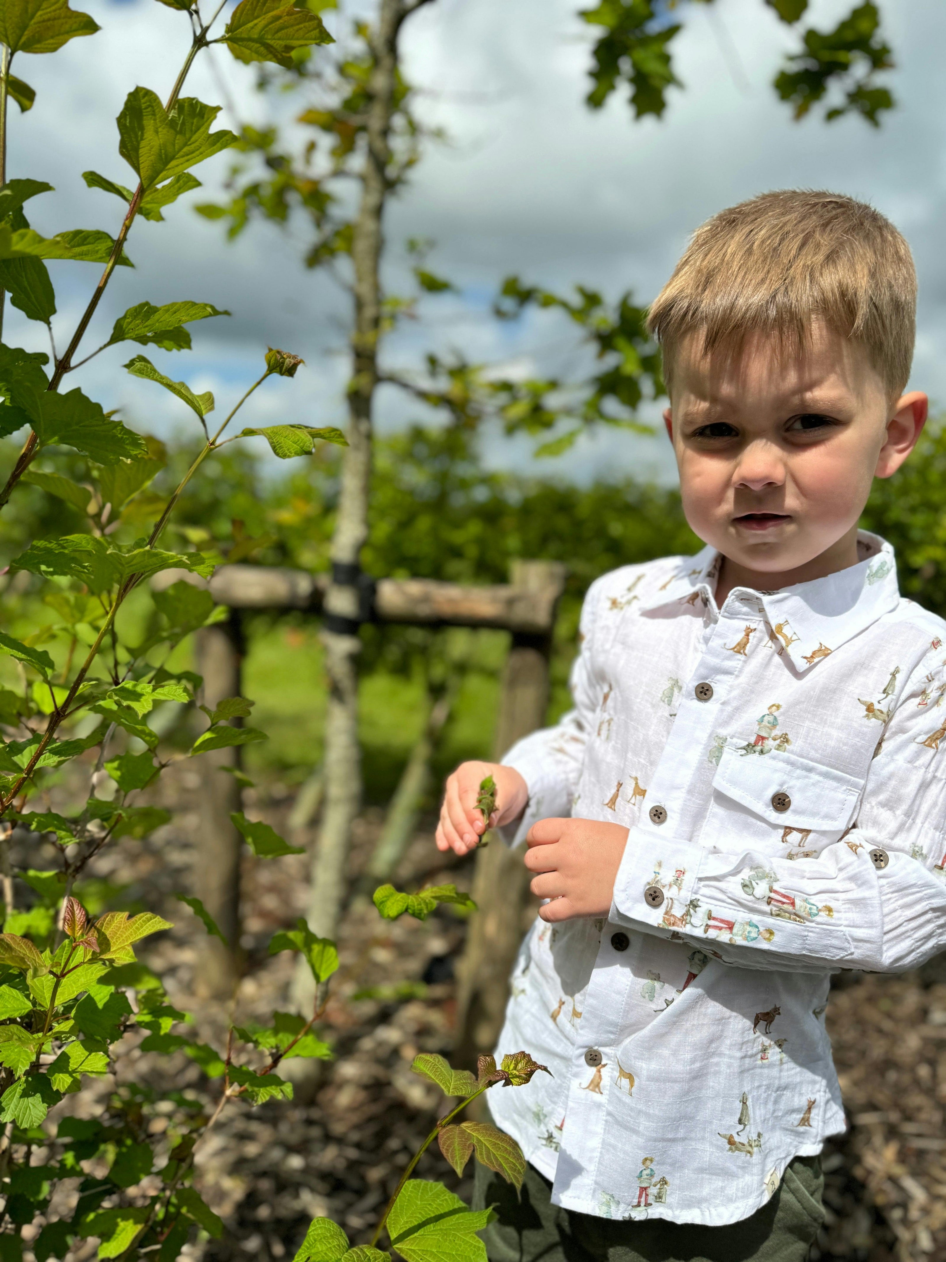 HENRY All Over Print Graphic Shirt