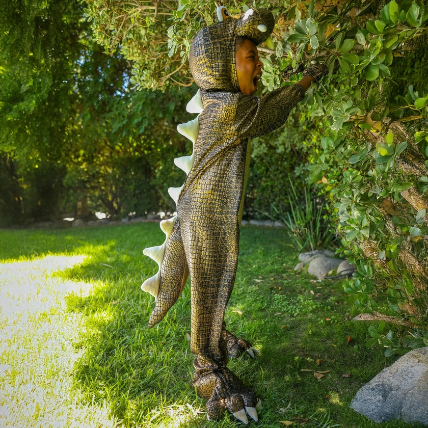 A Leading Role Signature T-Rex Dinosaur Child Dress Up