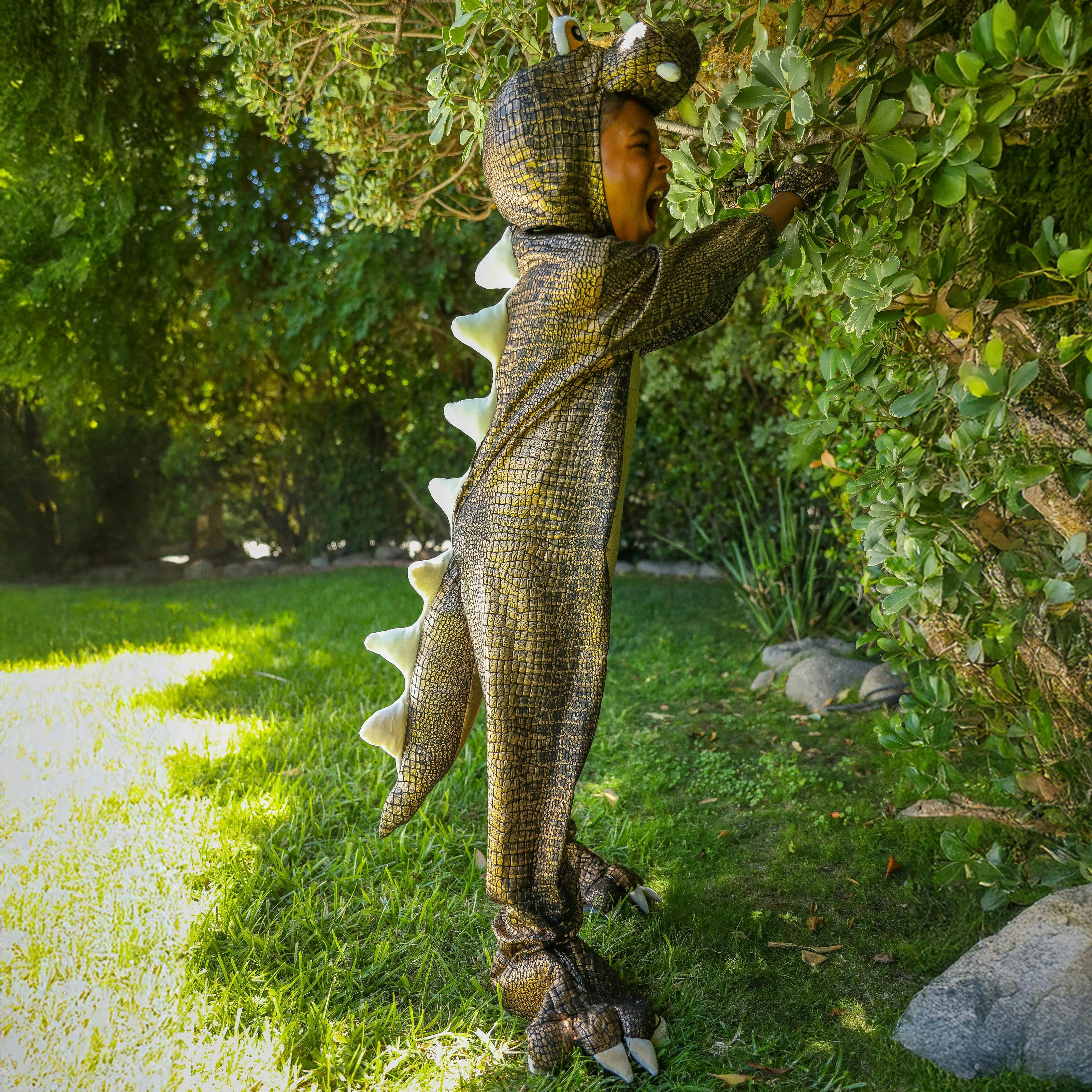 A Leading Role Premium Child T-Rex Dinosaur Dress Up