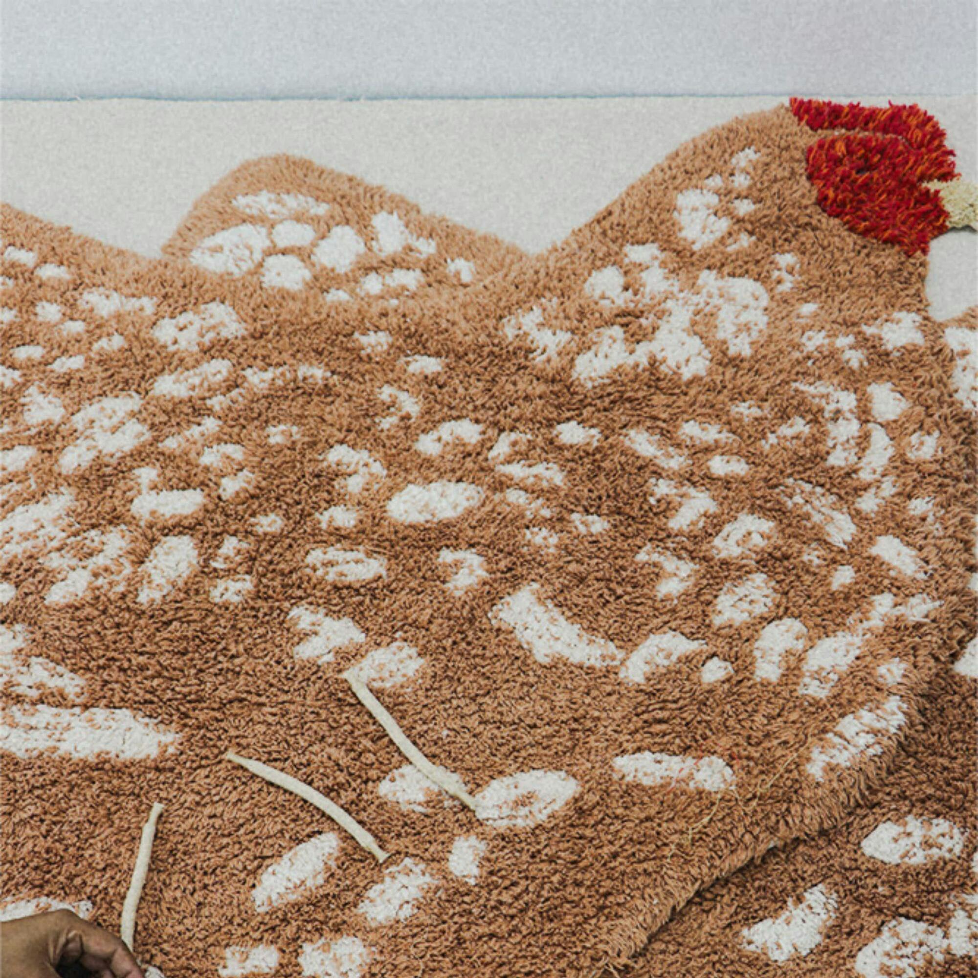 Washable Rug