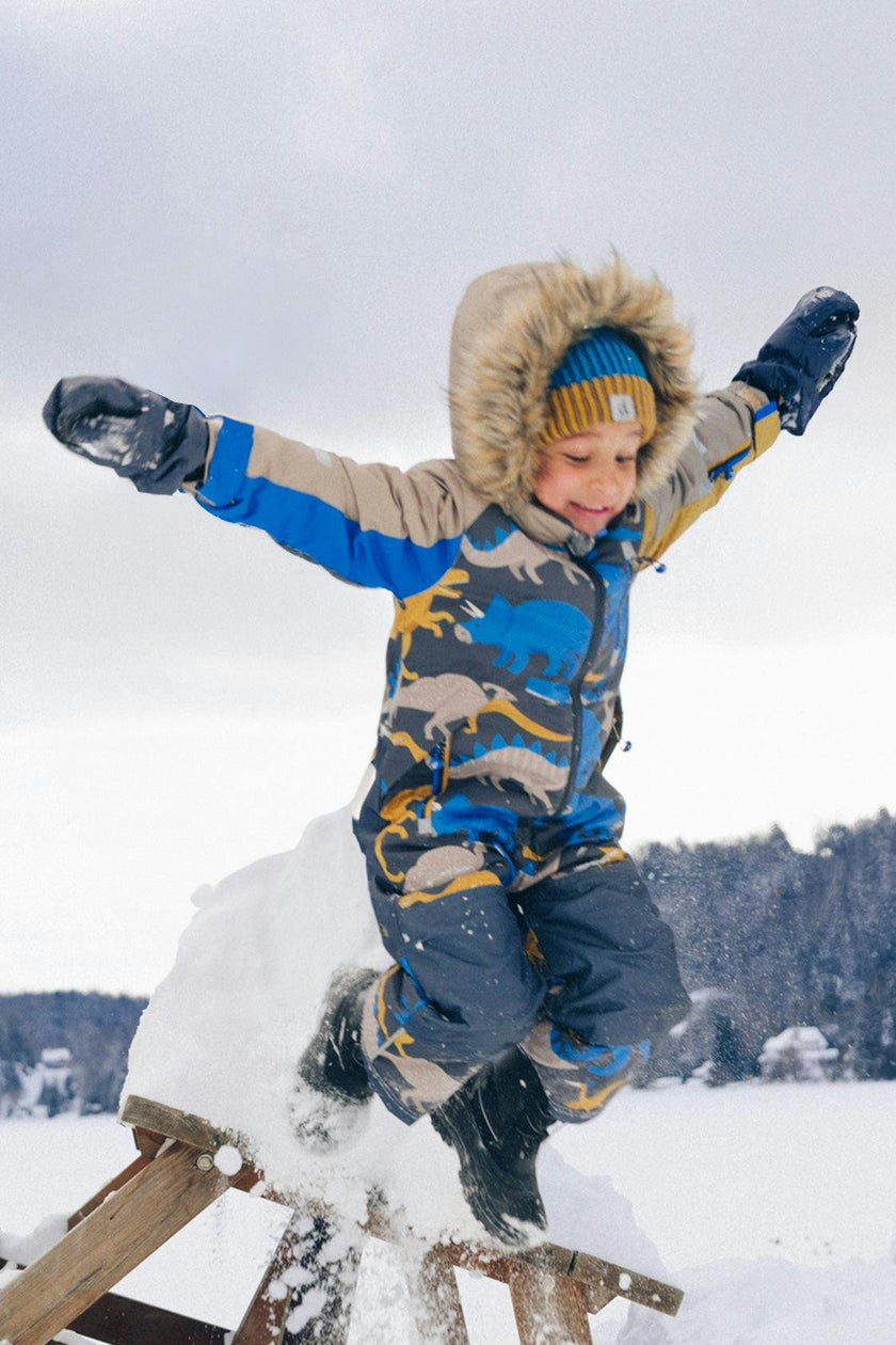 Kids One Piece Play Snowsuit Grey And Blue Dinosaur Print