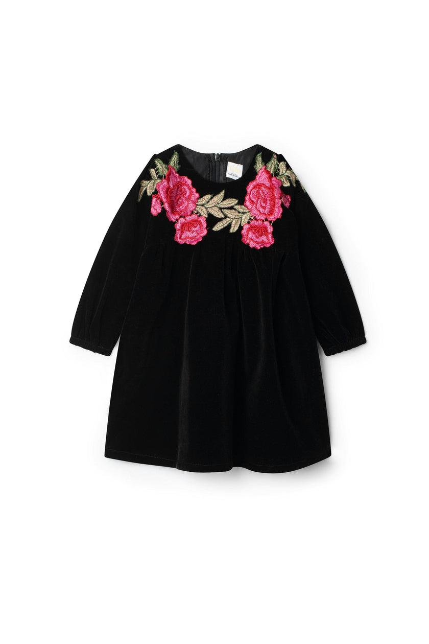Velour Embroidered Floral Print Dress