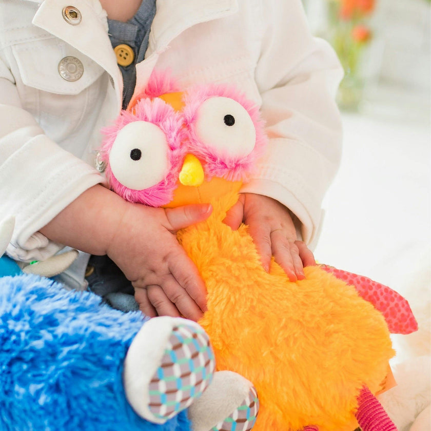 Ollie Soft Toy & Infant Novel Set