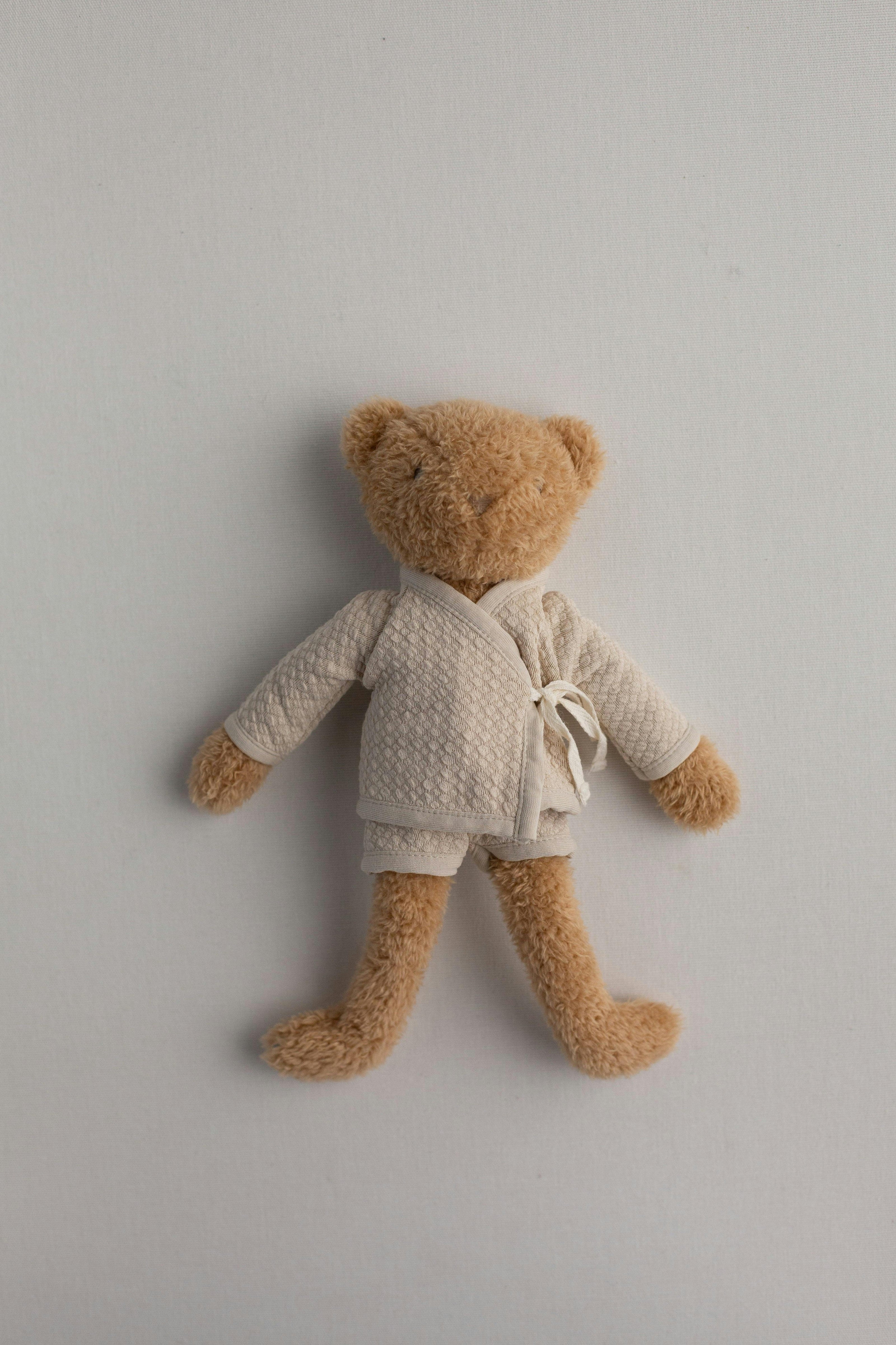 The Little Bear