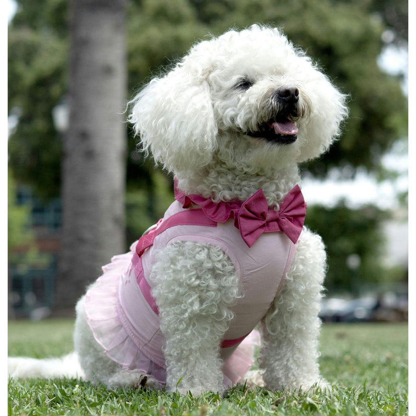 Disney Multi-Princess Harness, Pink