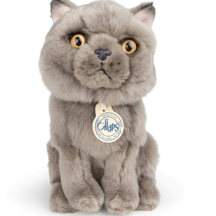 BT CHAPS FREDDY THE BRITISH SHORTHAIR FLOPPY in Giftbox 6.5"