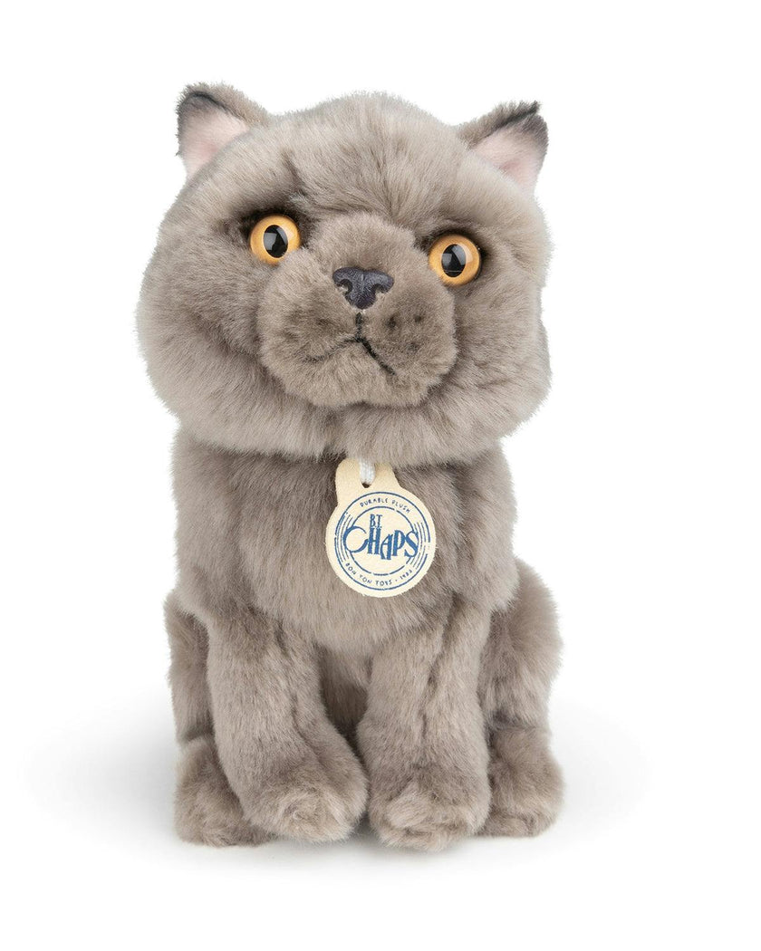 BT CHAPS FREDDY THE BRITISH SHORTHAIR FLOPPY in Giftbox 6.5"