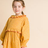 Ruffle Collar Long Sleeve Dress