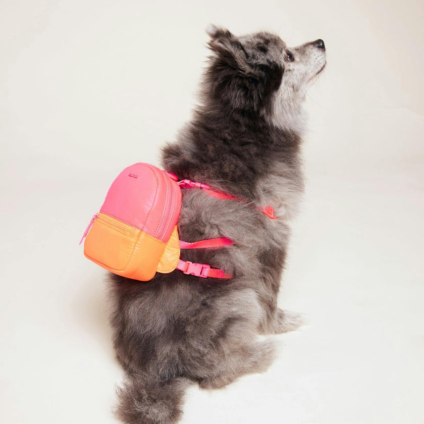 Dog Backpack