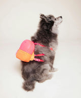 Dog Backpack