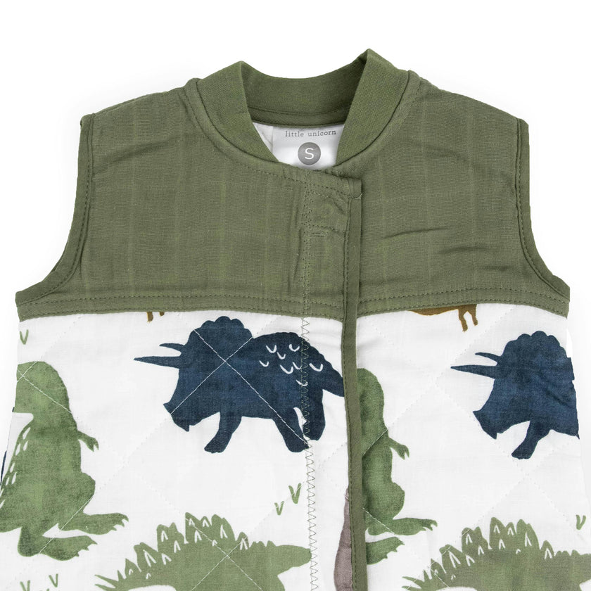Cotton Muslin Quilted Sleep Bag - Dino Friends