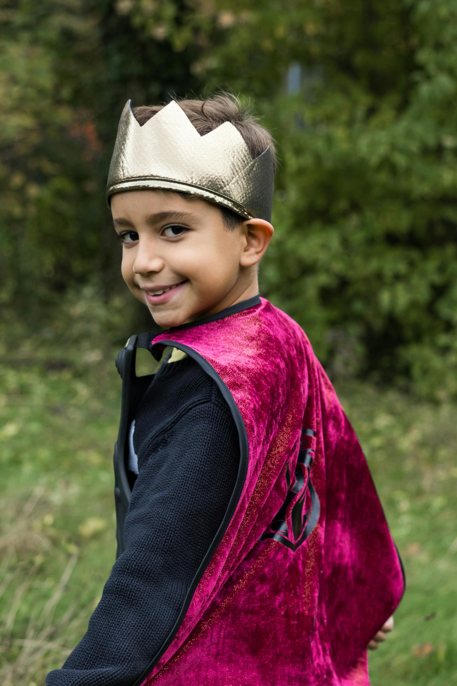Legendary Knight Cape, Chest Plate & Crown