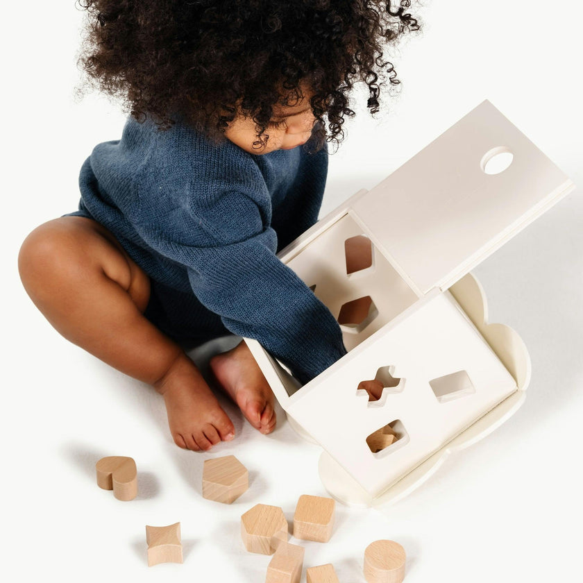Shape Sorter