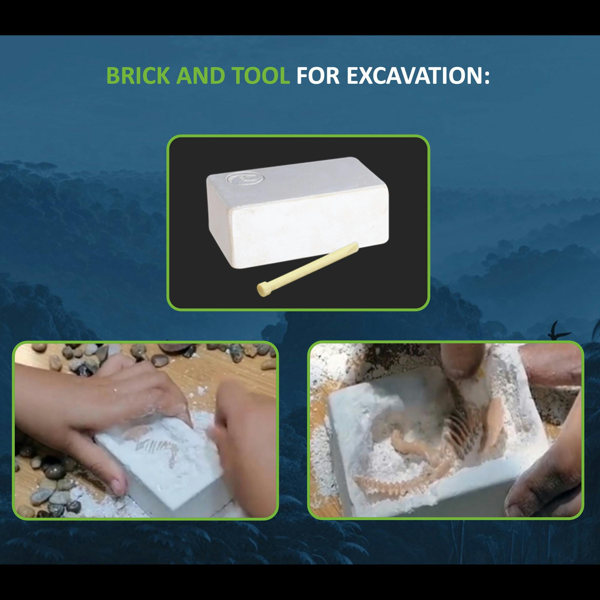 AR Dino Explorer Combo: Spinosaurus - XL & Brick