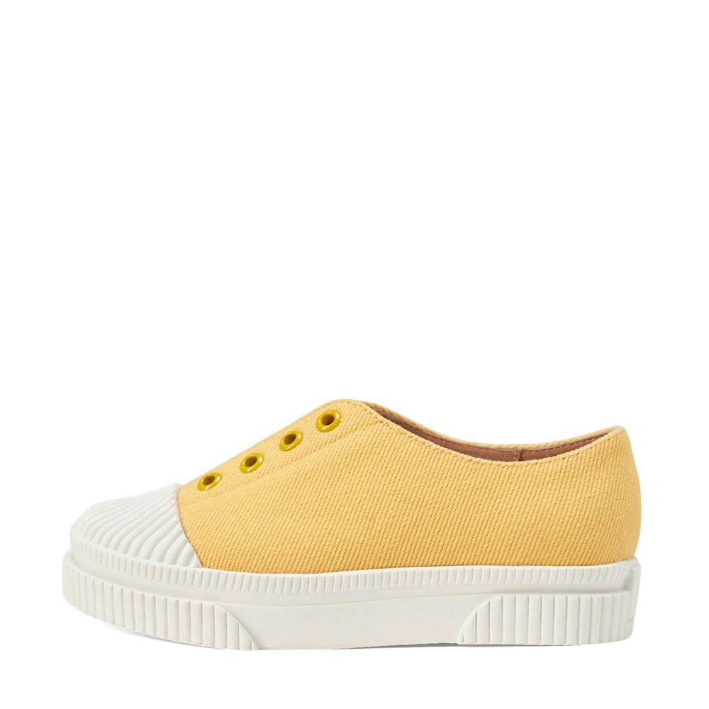 Alex Round Toe Bright Canvas Sneakers