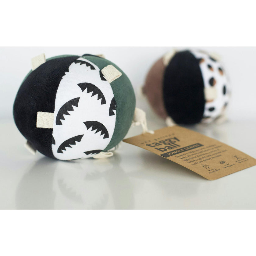 Taggy Ball with Rattle