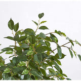 Artificial Ficus Tree with Artisan Planter
