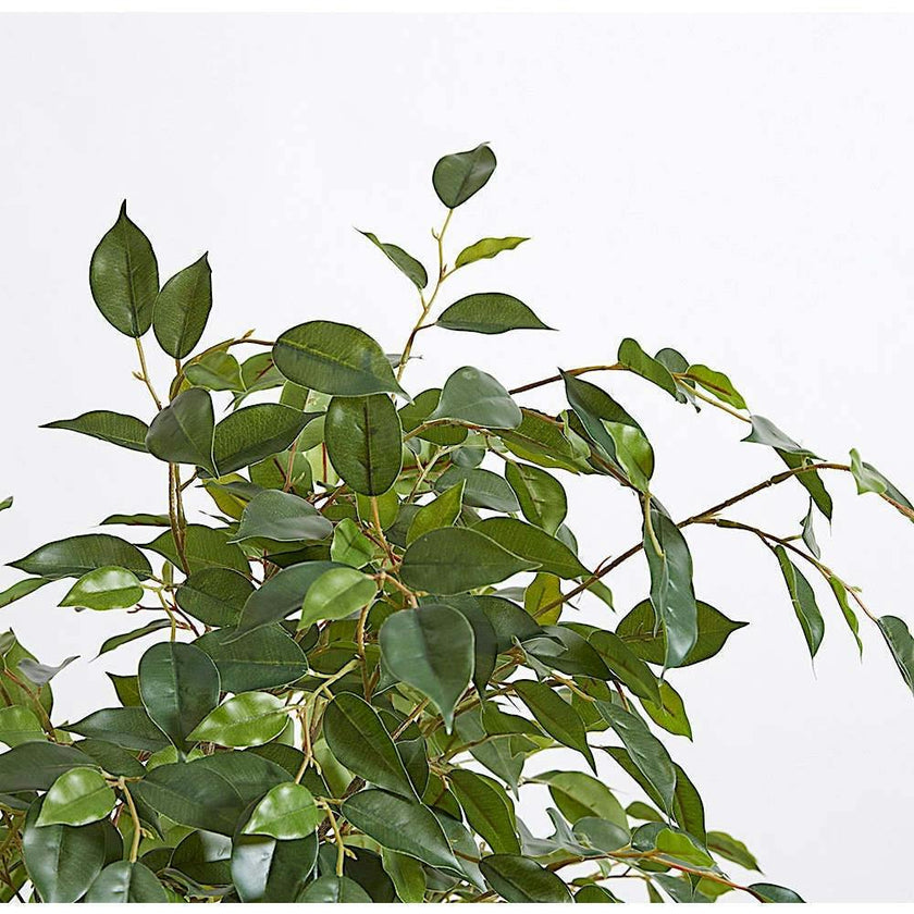Artificial Ficus Tree with Artisan Planter
