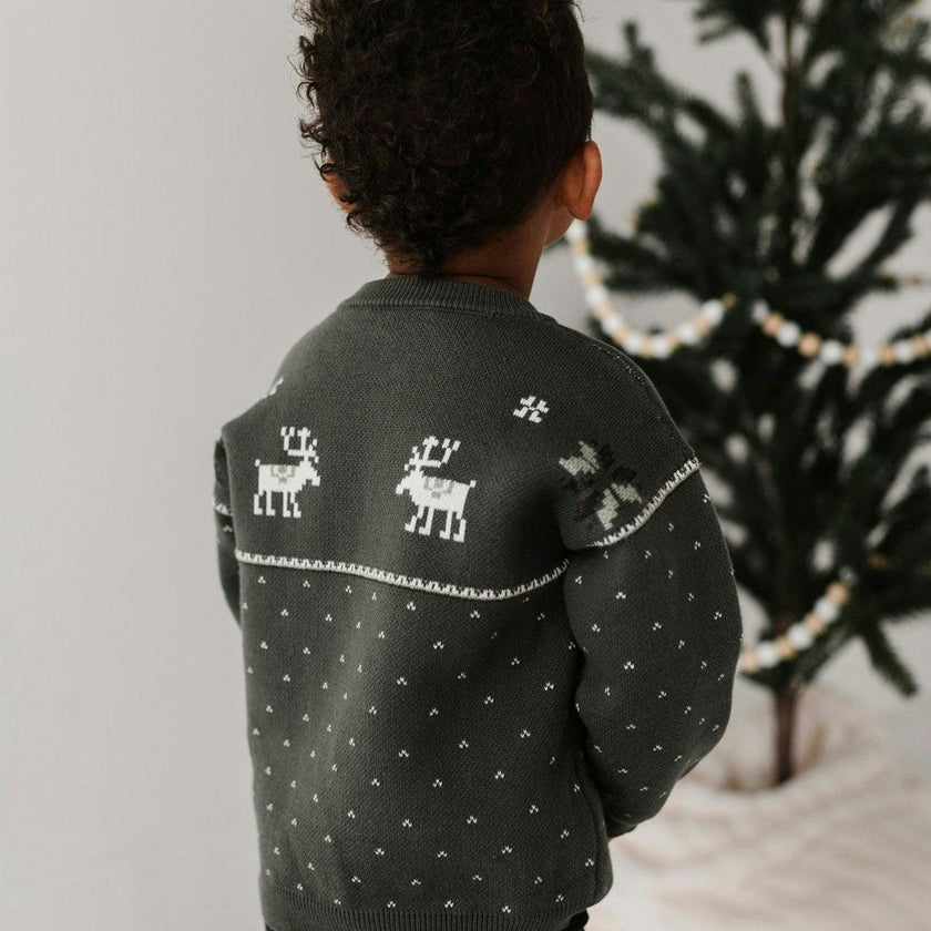 Boys Knit Sweater in Olive