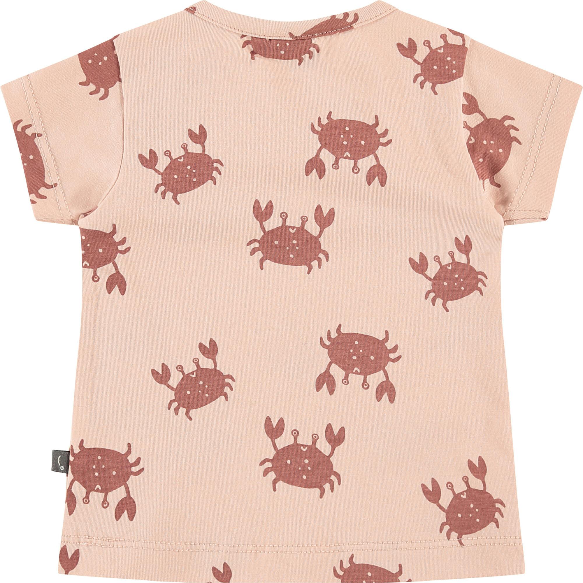 Printed Short Sleeve T-Shirt