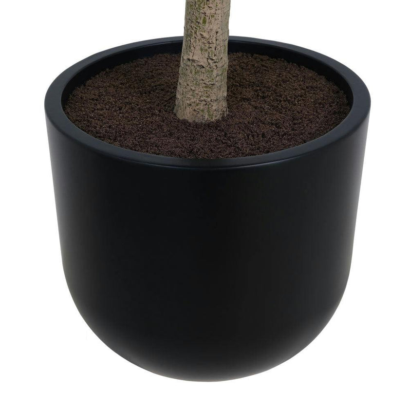 7' Faux Potted Money Tree