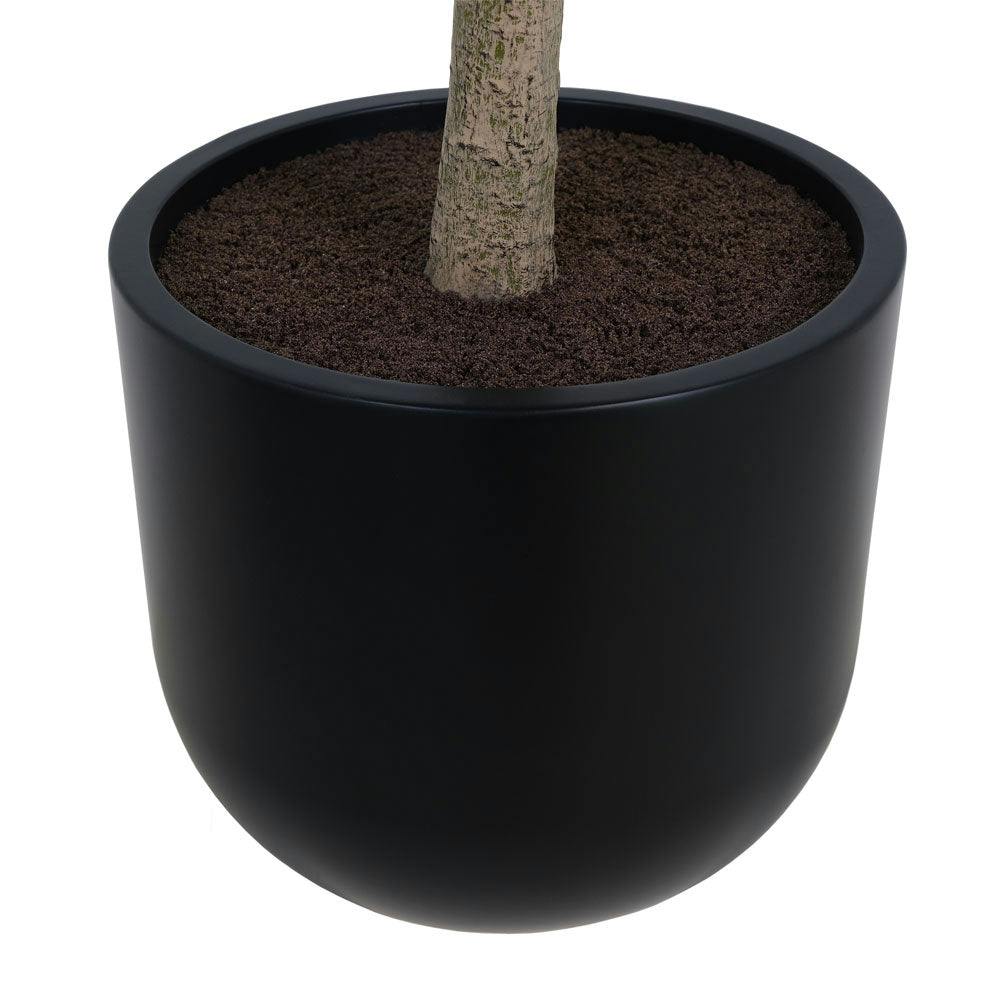 7' Faux Potted Money Tree
