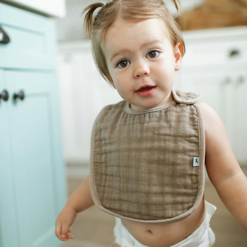 Organic Cotton Muslin Classic Bib 3 Pack - Floral Field