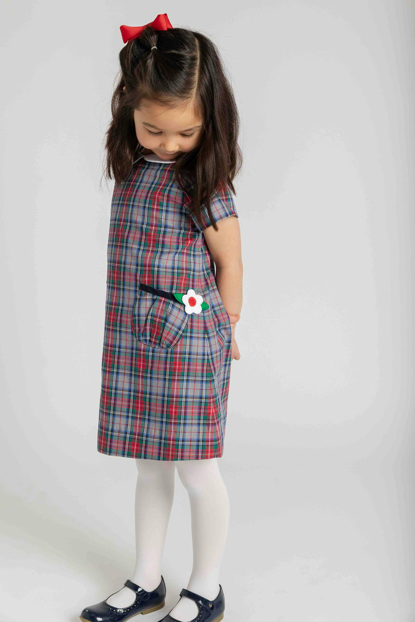 Plaid Dress with Pockets