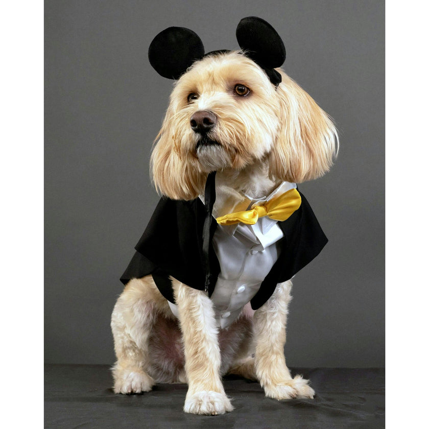 Disney Mickey Costume, Black