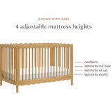 Swell 4-in-1 Convertible Crib with Toddler Bed Conversion Kit in Honey