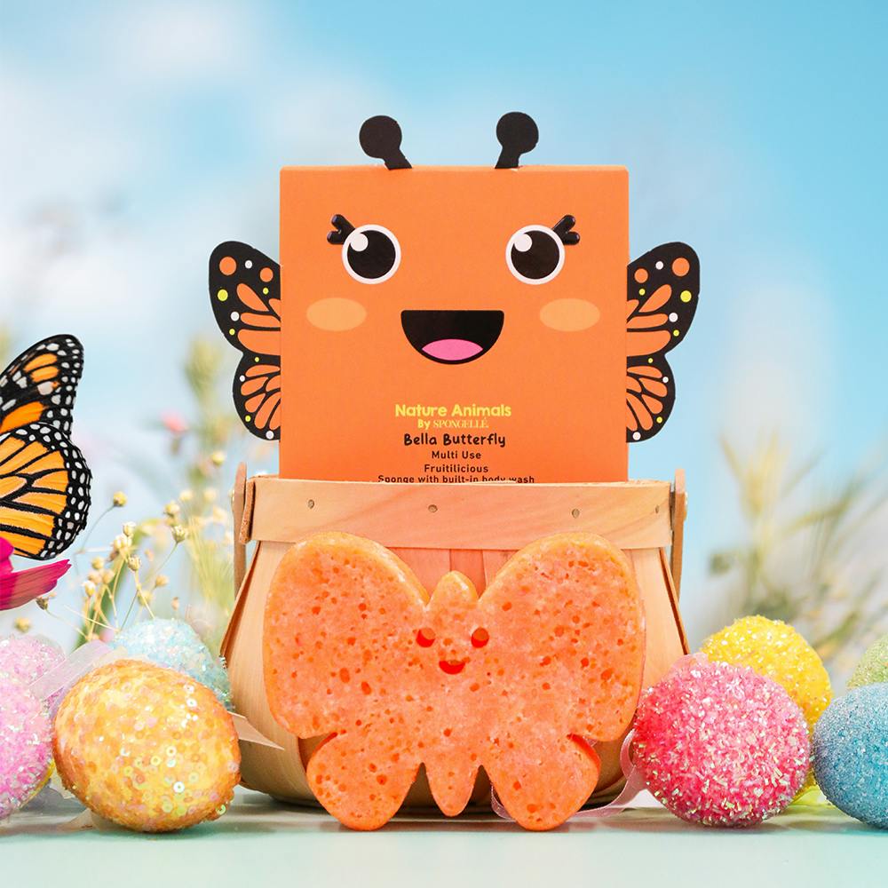 Bella Butterfly | Nature Animals